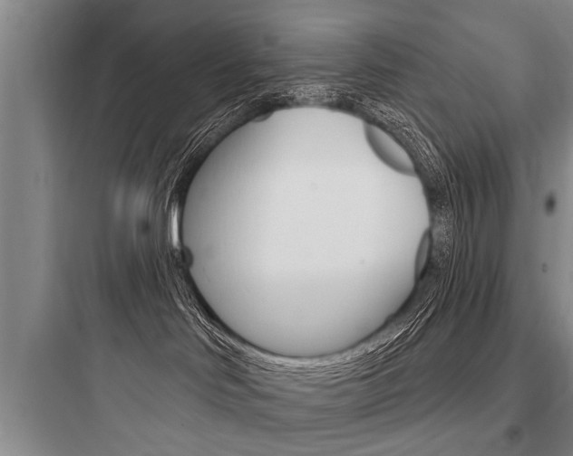 X0000097950046200803241028