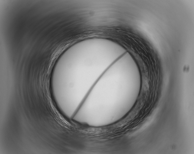 X0000097950049200803241028