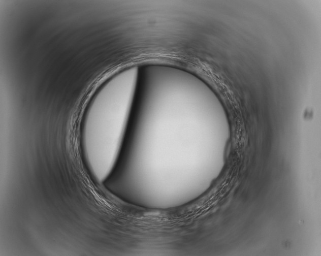 X0000097950050200803241028