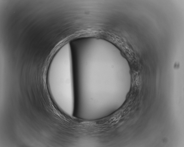 X0000097950051200803241028