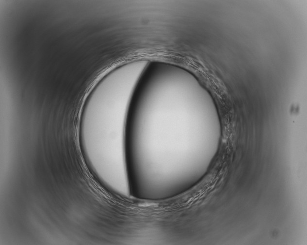 X0000097950052200803241028
