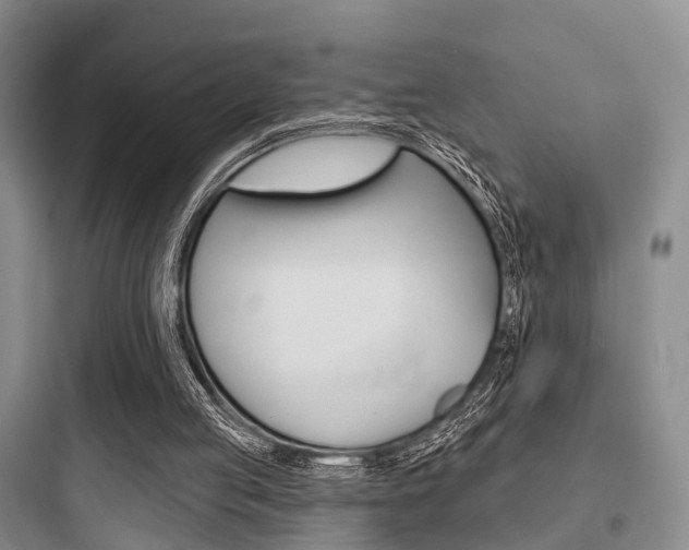 X0000097950053200803241028