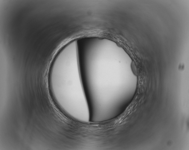 X0000097950054200803241028