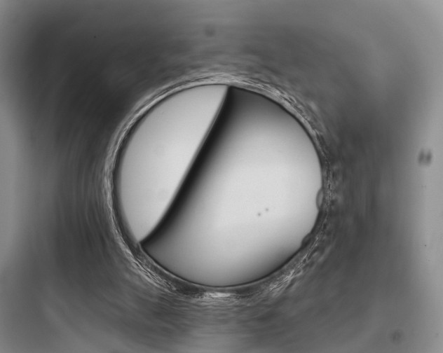 X0000097950055200803241028