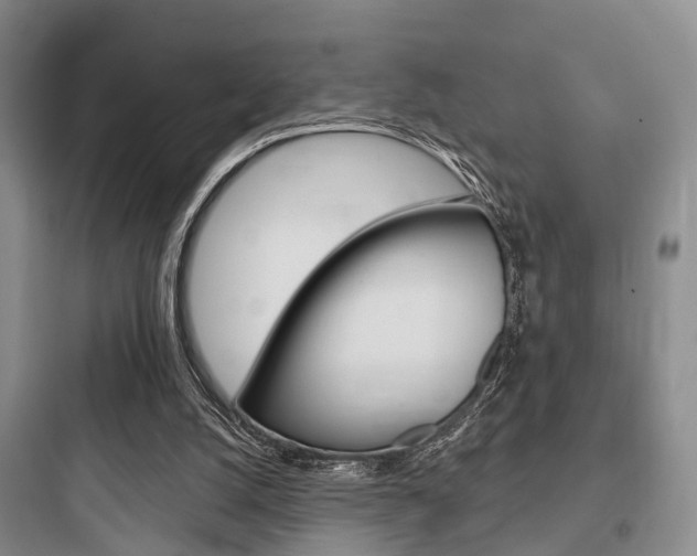 X0000097950056200803241028