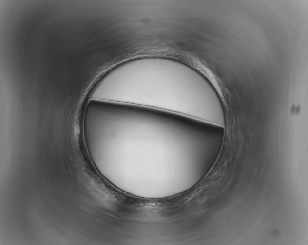 X0000097950059200803241028