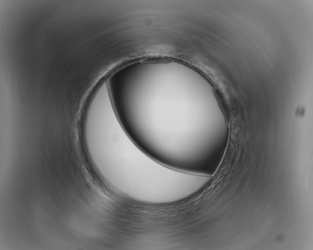 X0000097950060200803241028