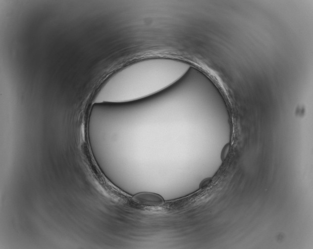 X0000097950061200803241028