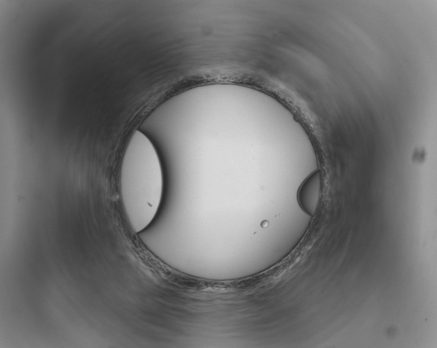 X0000097950065200803241028