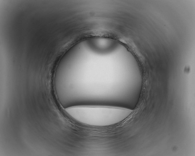 X0000097950066200803241028