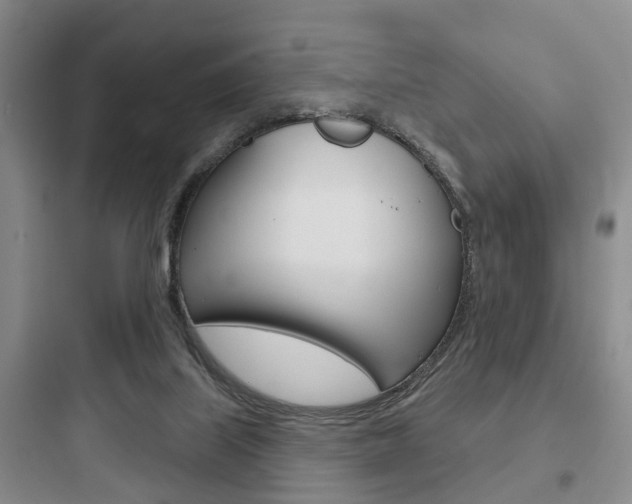 X0000097950067200803241028