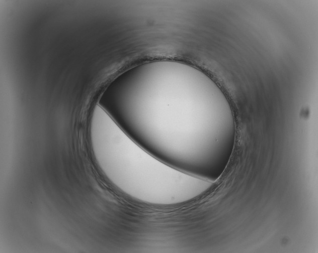 X0000097950068200803241028
