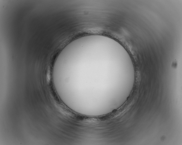 X0000097950069200803241028