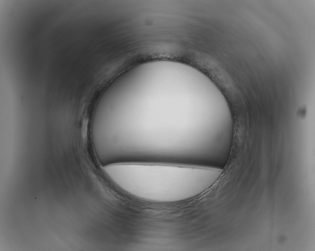 X0000097950070200803241028