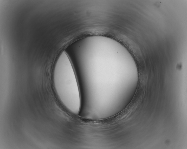 X0000097950071200803241028