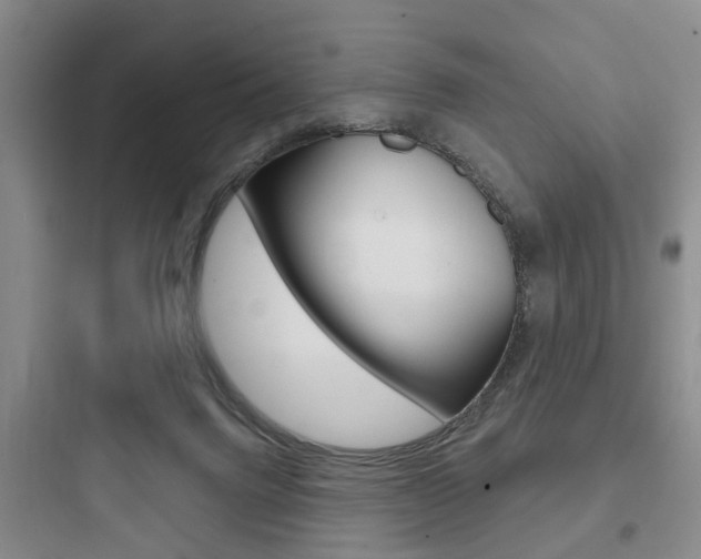 X0000097950072200803241028
