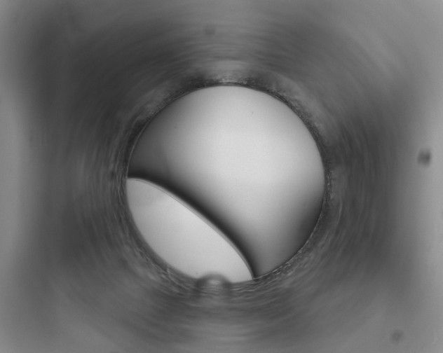X0000097950073200803241028