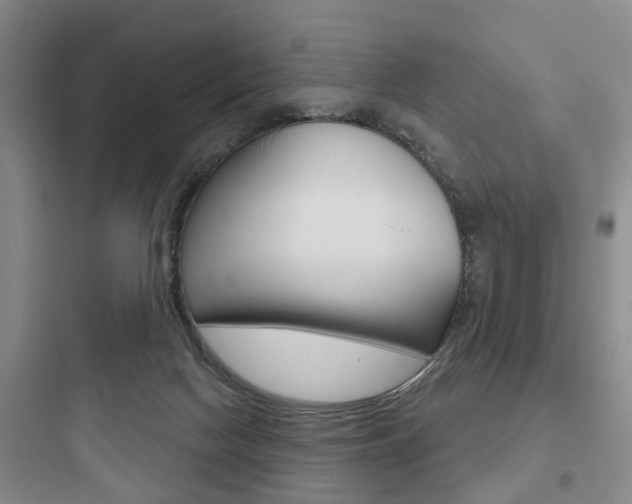 X0000097950074200803241028