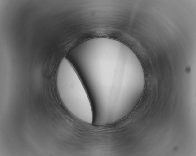 X0000097950075200803241028