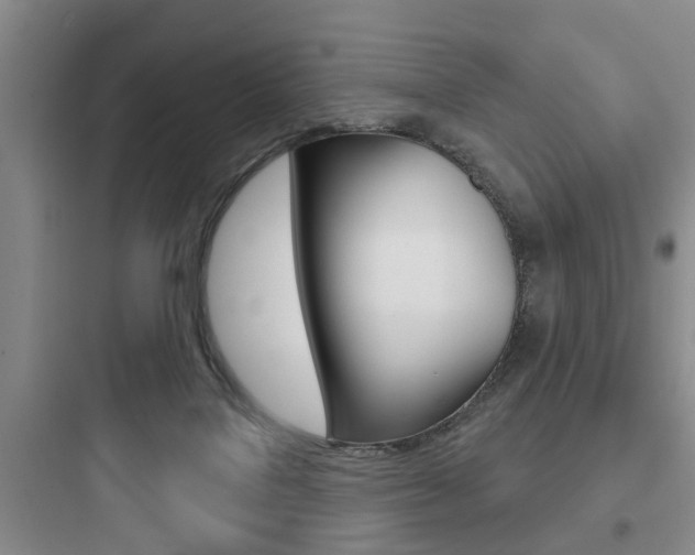 X0000097950076200803241028