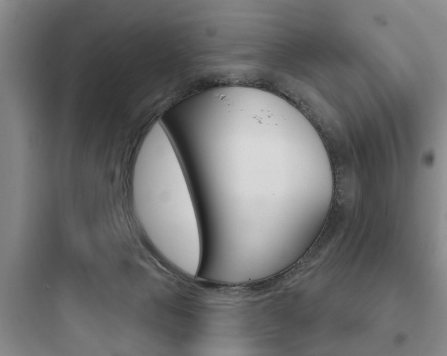 X0000097950077200803241028