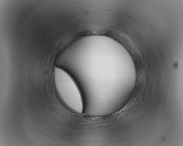 X0000097950078200803241028