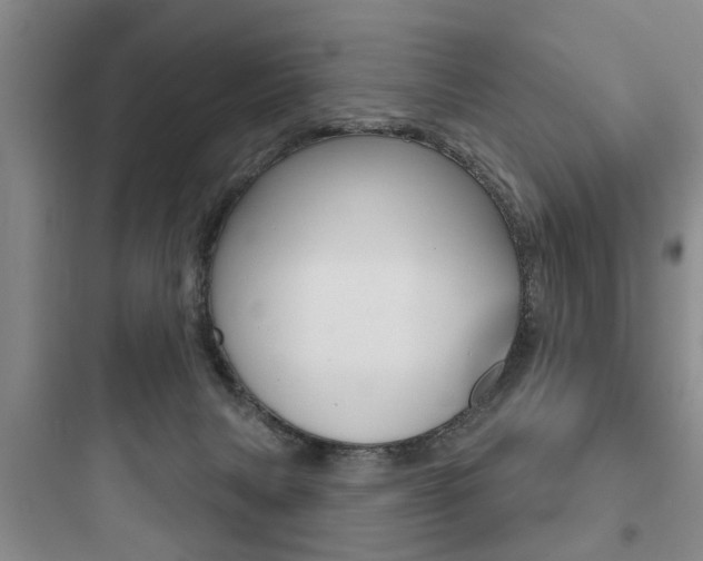 X0000097950079200803241028