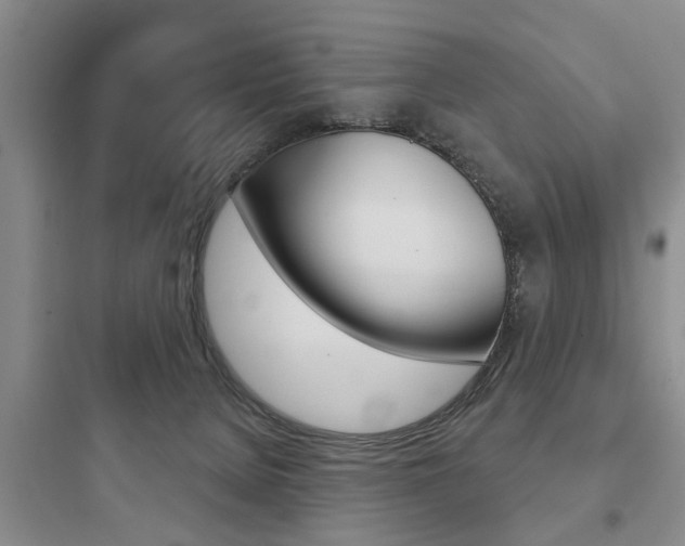 X0000097950080200803241028