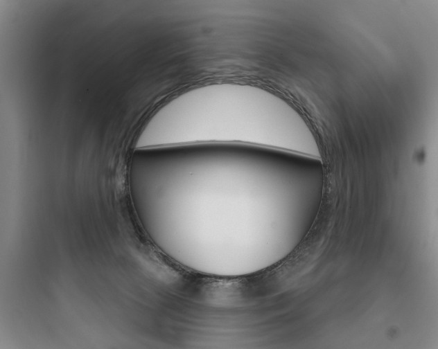 X0000097950081200803241028