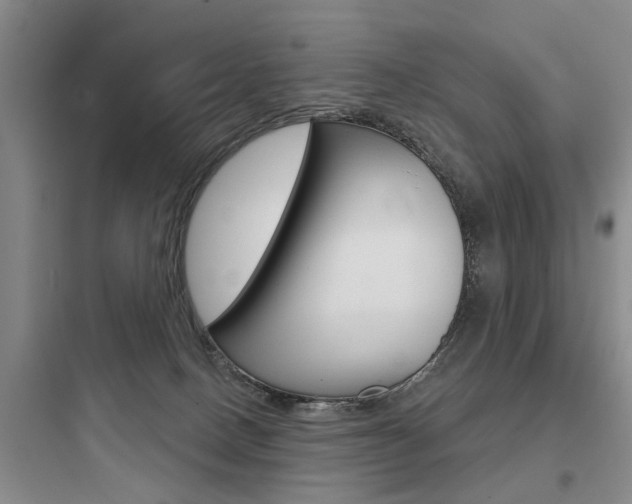 X0000097950082200803241028