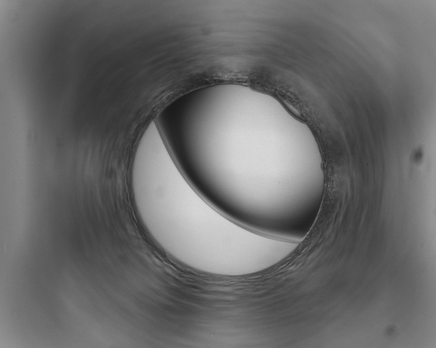 X0000097950084200803241028