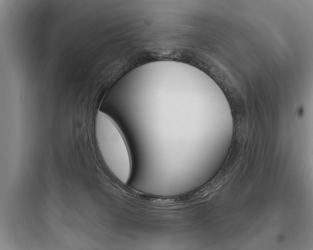 X0000097950085200803241028
