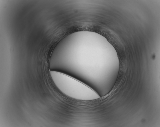 X0000097950086200803241028