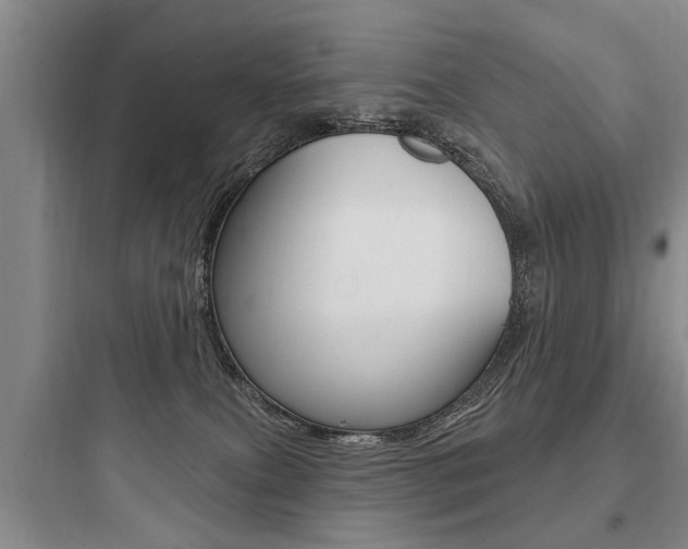 X0000097950087200803241028