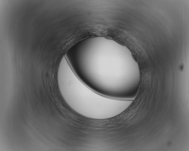 X0000097950088200803241028