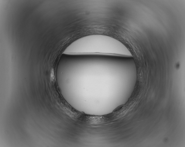 X0000097950089200803241028