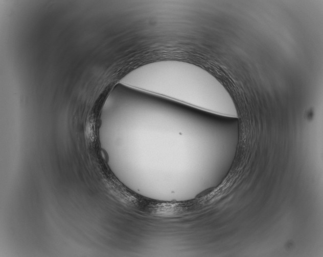 X0000097950090200803241028