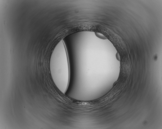 X0000097950091200803241028