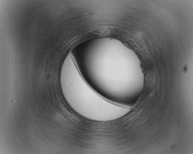 X0000097950092200803241028