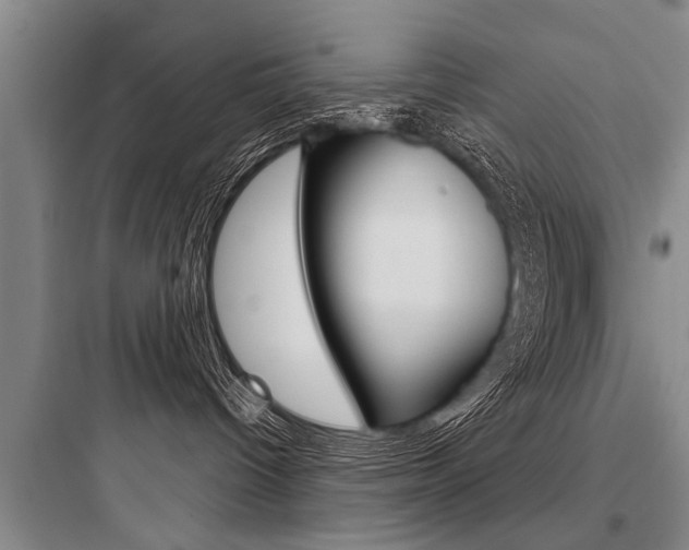 X0000097950096200803241028