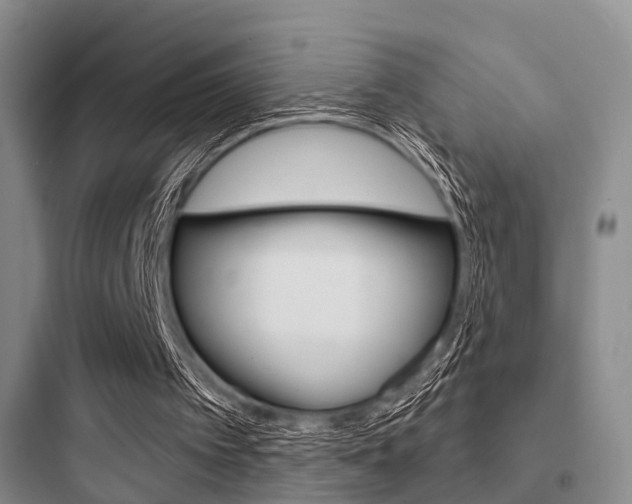 X0000097950097200803241028