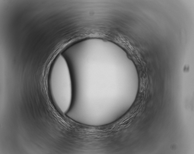 X0000097950098200803241028