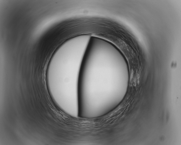 X0000097950099200803241028