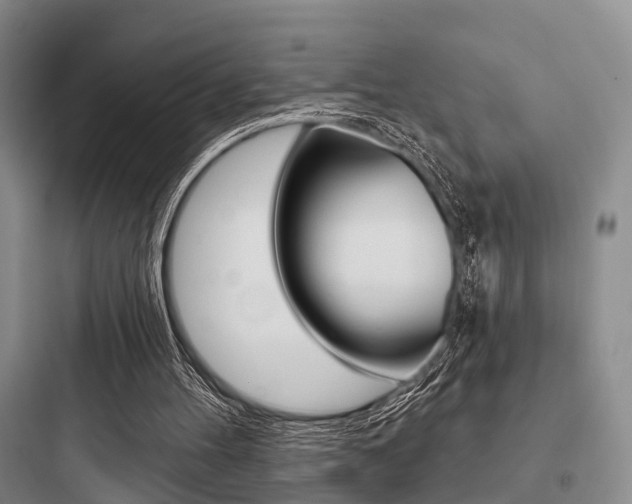 X0000097950100200803241028