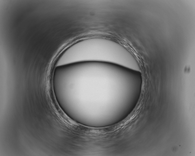 X0000097950101200803241028