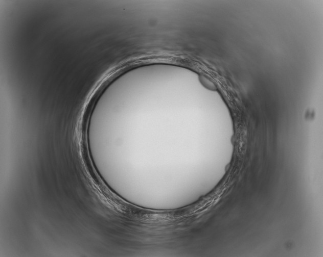 X0000097950102200803241028
