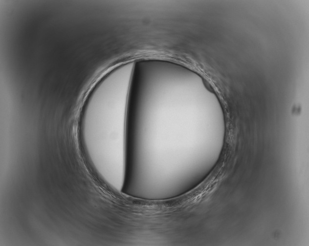 X0000097950103200803241028