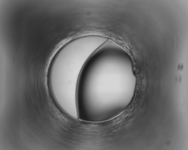 X0000097950104200803241028