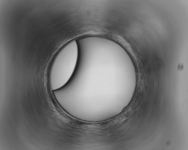 X0000097950106200803241027