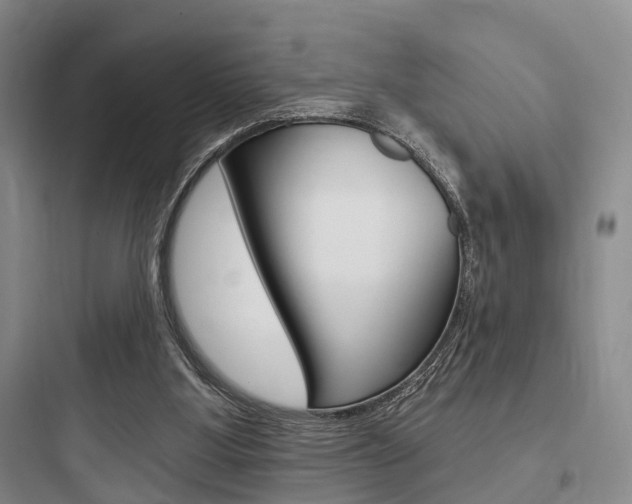 X0000097950107200803241027